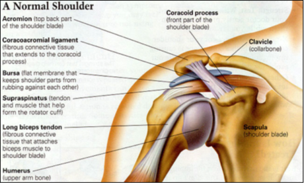 SUBACROMIAL SHOULDER IMPINGEMENT SYNDROME